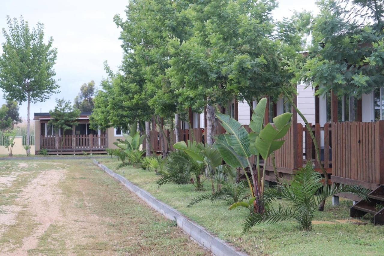 Camping จิราโซเล ภายนอก รูปภาพ